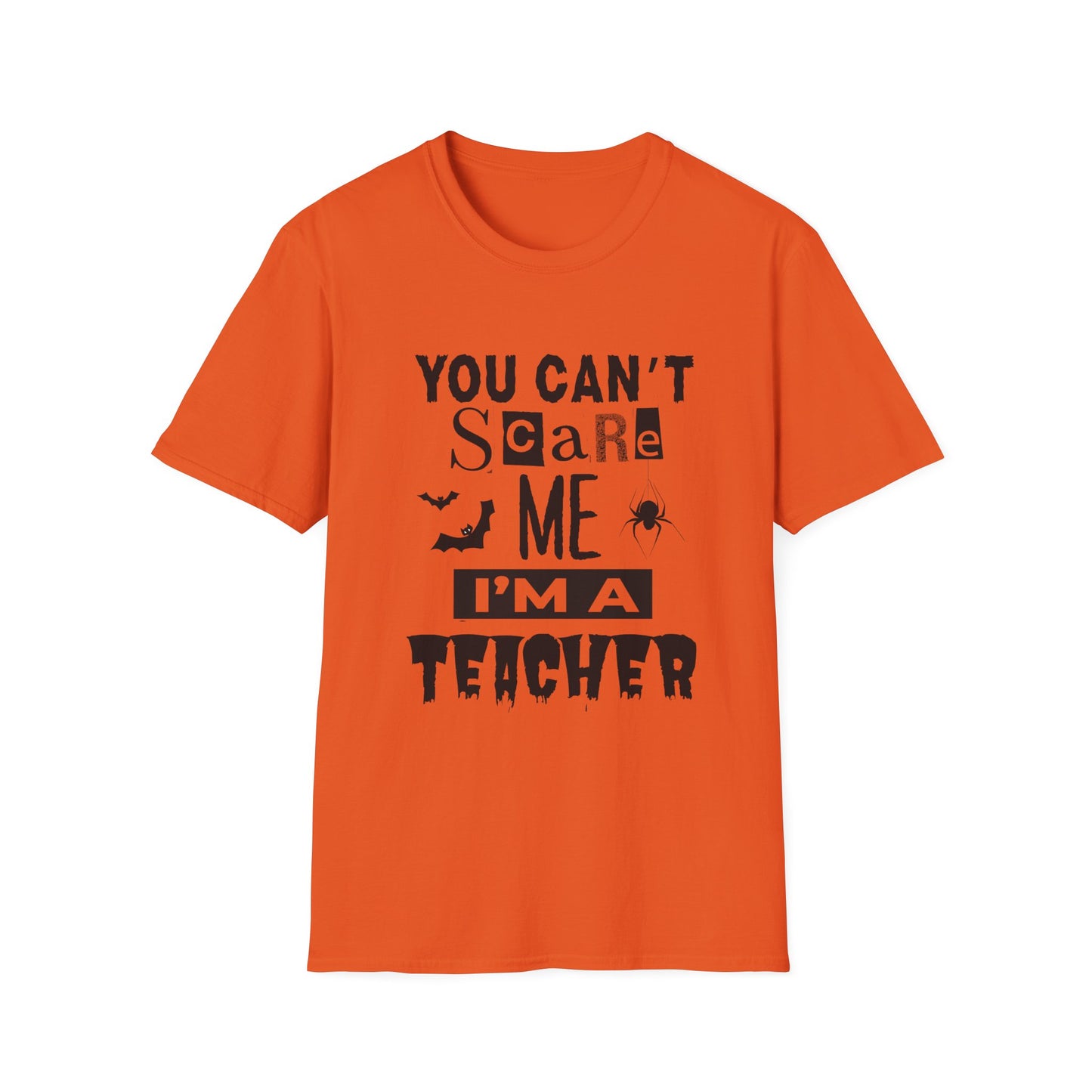 You Can't Scare Me I'm a Teacher
