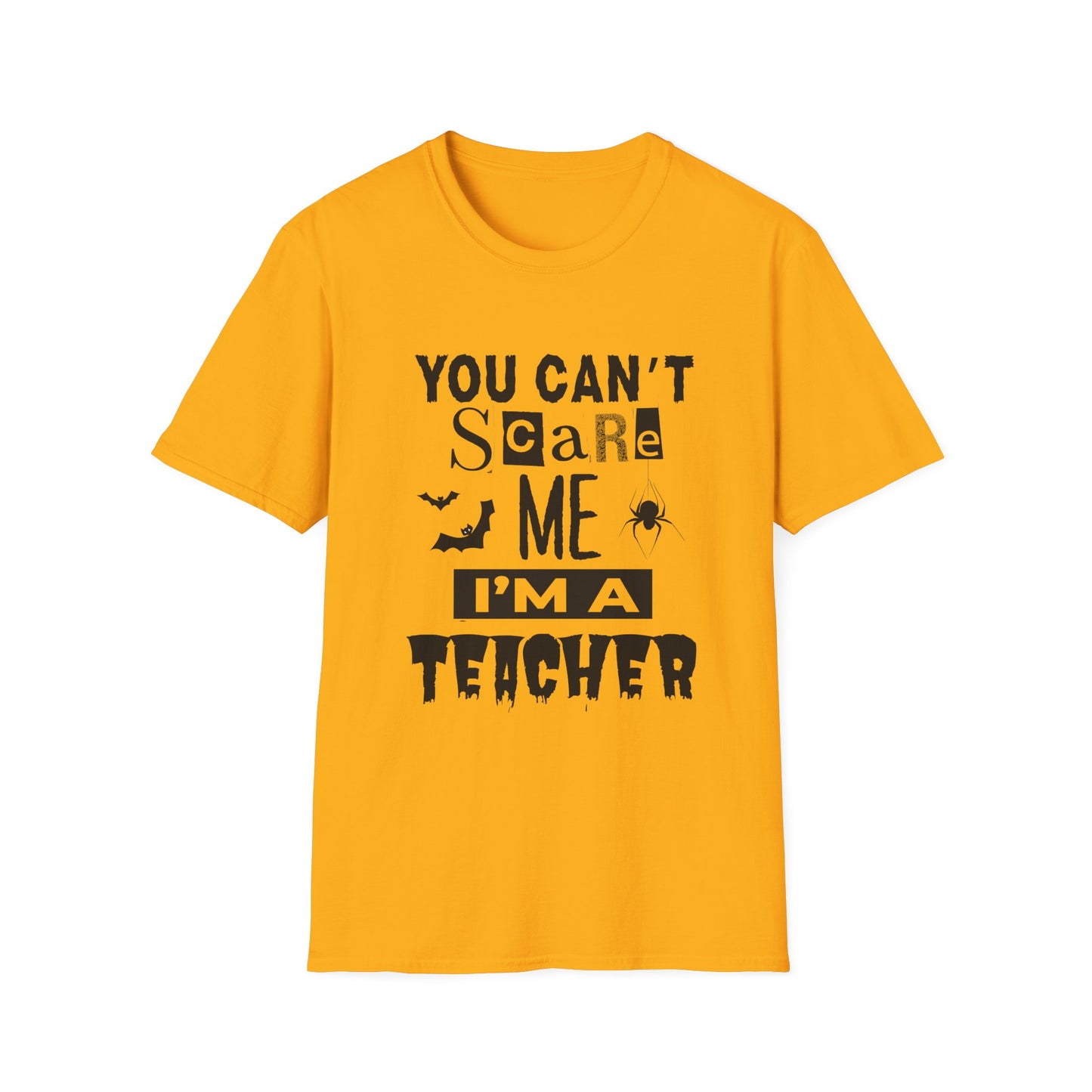 You Can't Scare Me I'm a Teacher