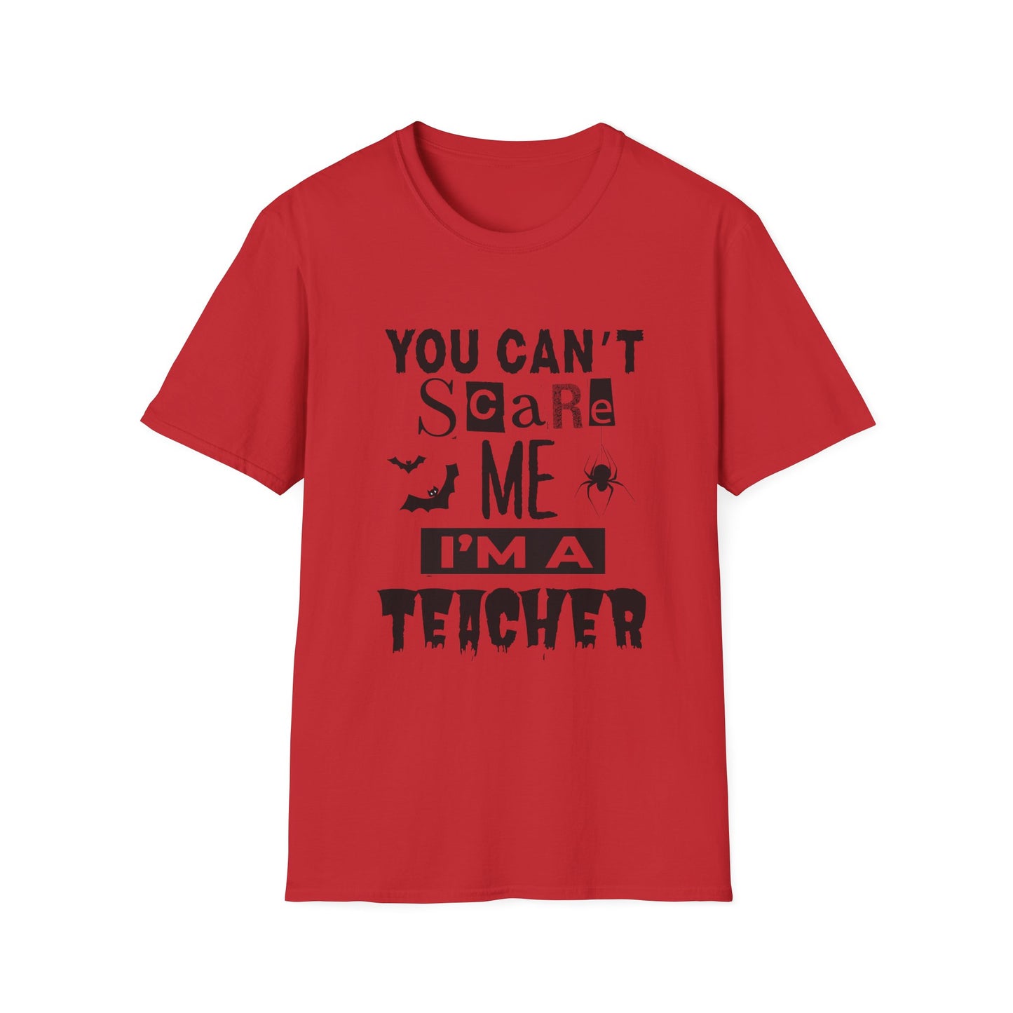 You Can't Scare Me I'm a Teacher