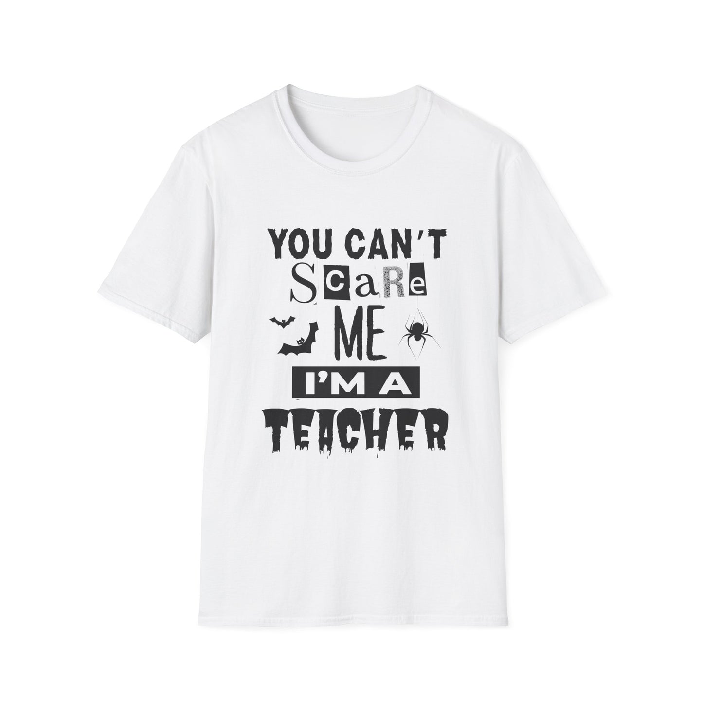 You Can't Scare Me I'm a Teacher