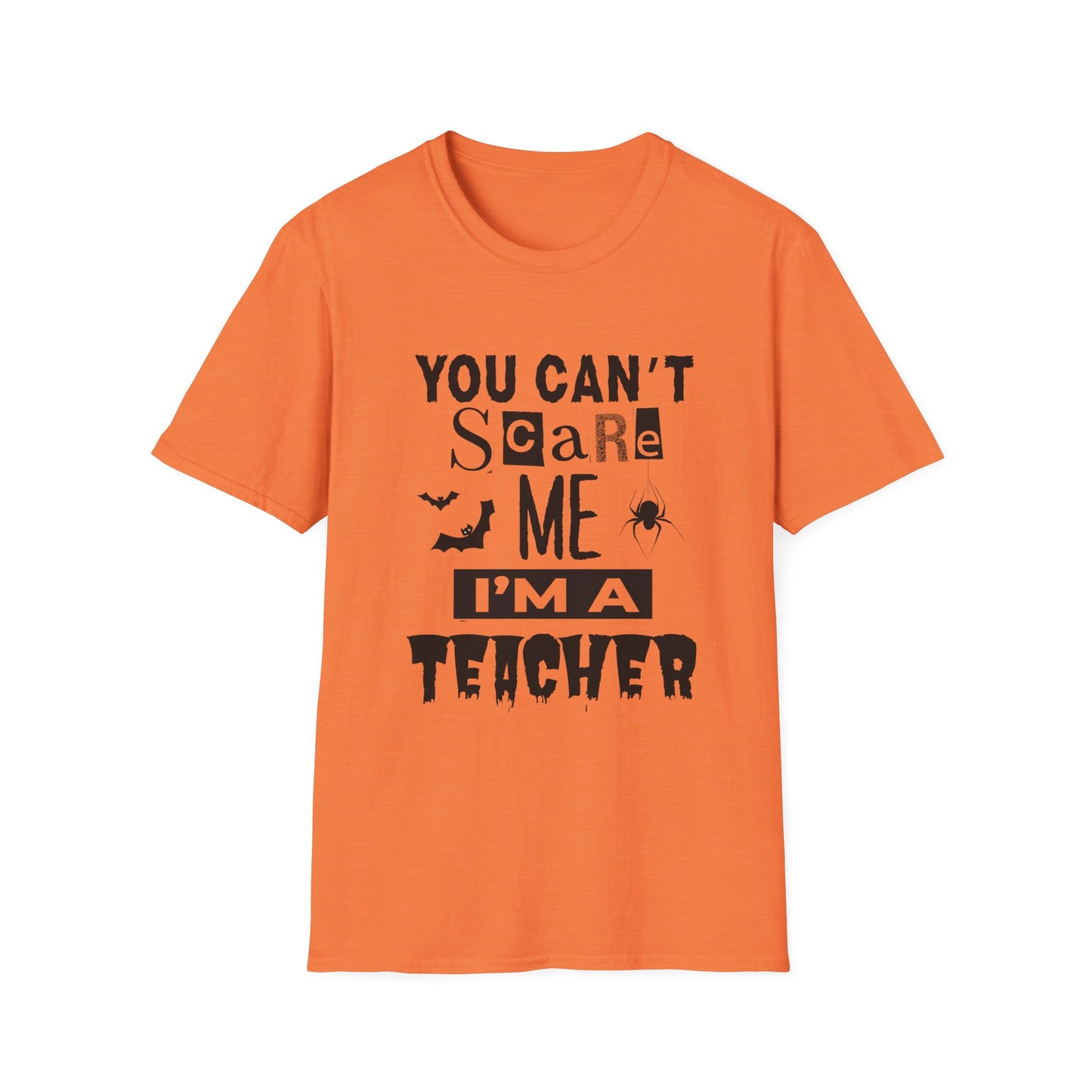 You Can't Scare Me I'm a Teacher